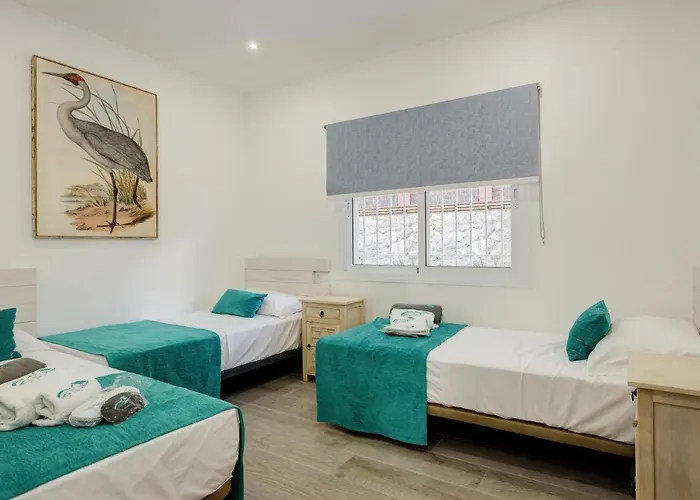 Isabel By Seric, 15' Walking To The *